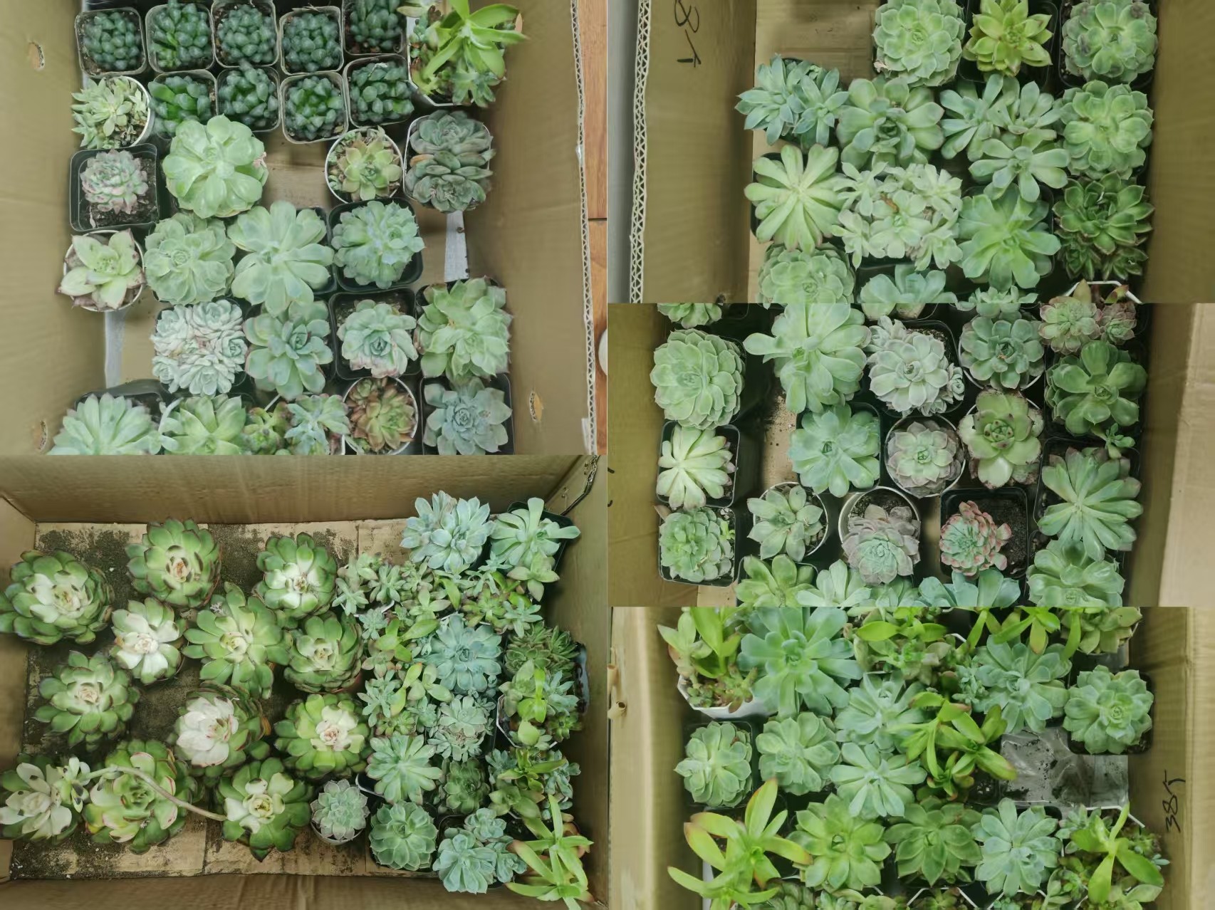 微信图片_20250610095235.jpg 微信图片_20250610095235.jpg